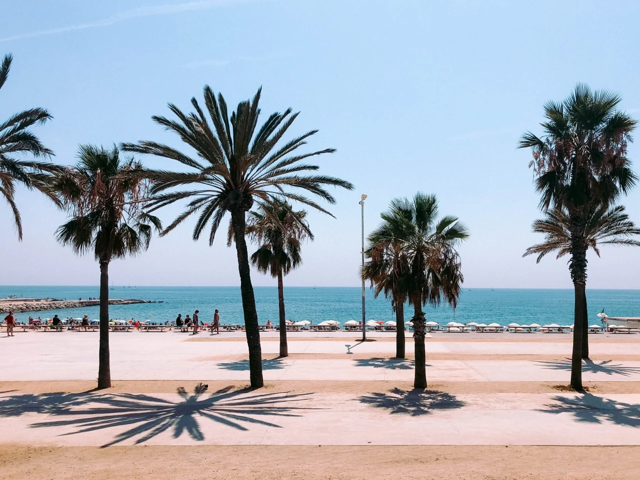 Lucrezia Carnelos Bg8tvw6nyyw Unsplash