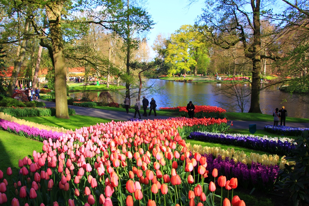 Amsterdam Keukenhof Visist Keukenhof