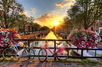 Istock 516019979.Jpg